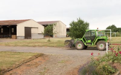 Comment soutenir les petits producteurs ? Le pouvoir du bouche à oreille