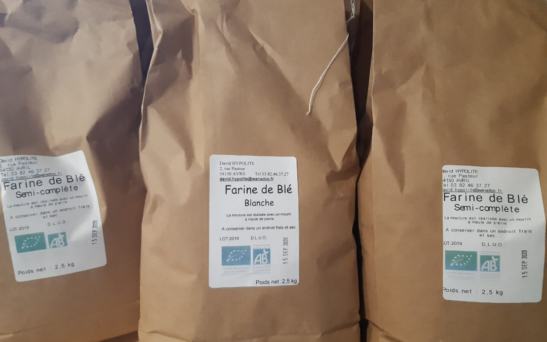 Farine de blé BIO